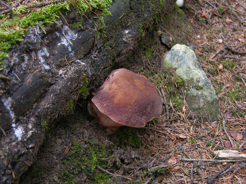 Qualche highlight 2007